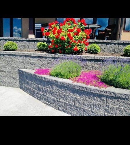 WhatsApp-Image-2024-08-27-at-2.25.59-AM