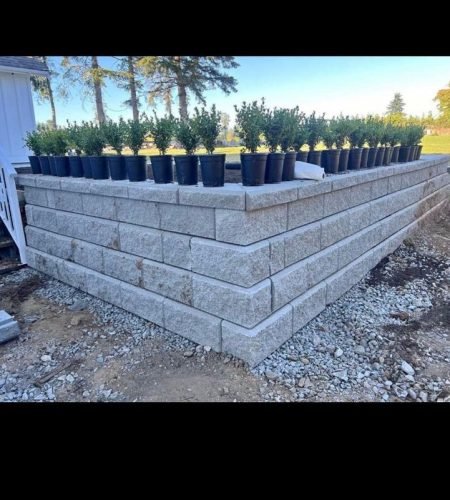 WhatsApp-Image-2024-08-27-at-2.25.59-AM2